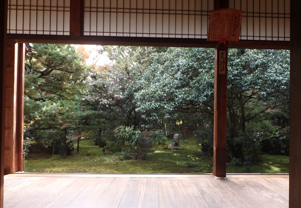 地蔵院　方丈から見る庭園