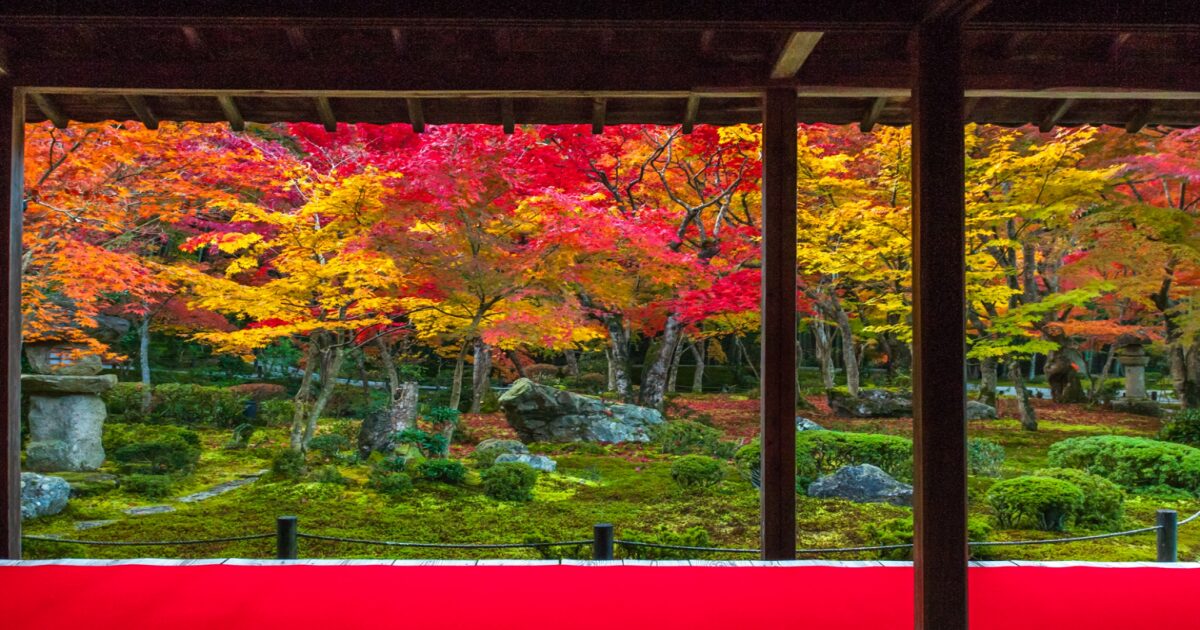 京都・一乗寺にある錦秋の圓光寺の十牛之庭。苔・白砂・紅葉と書院の構図が織りなす静かなる風景。