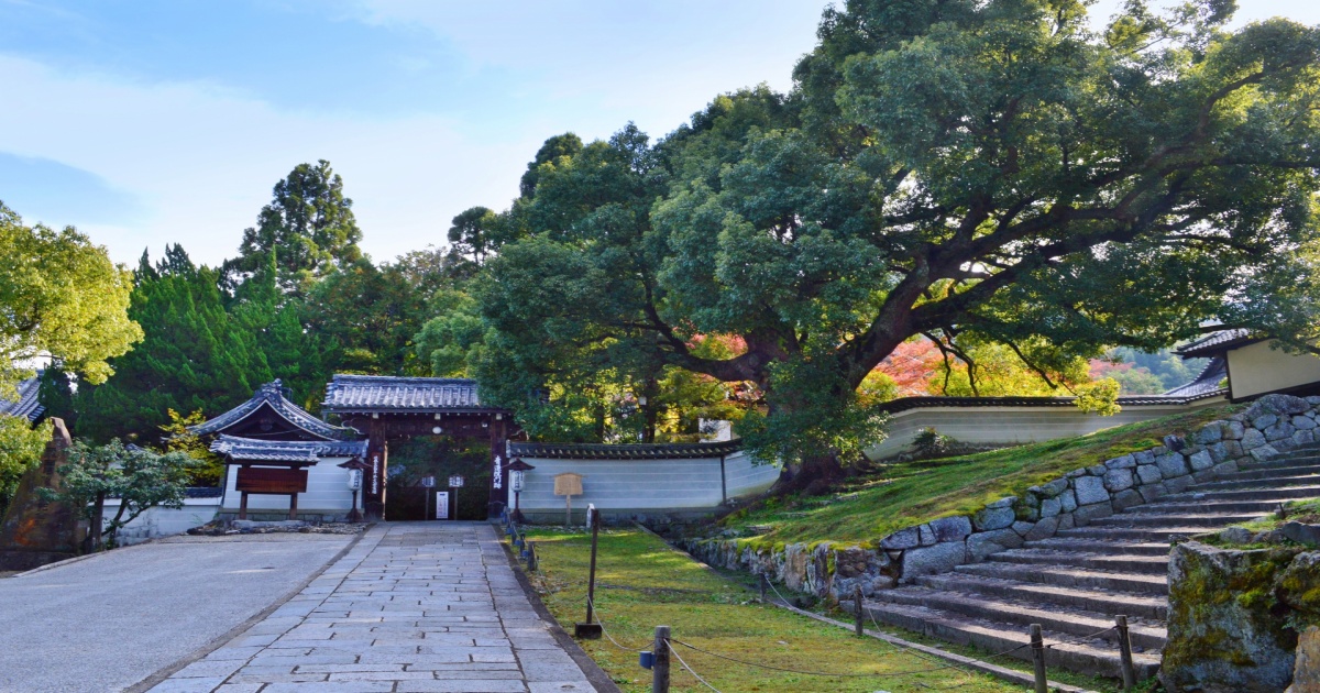 京都上京区の聖霊院門跡。静かな境内に佇む歴史ある建物と、落ち着いた庭園の風景。