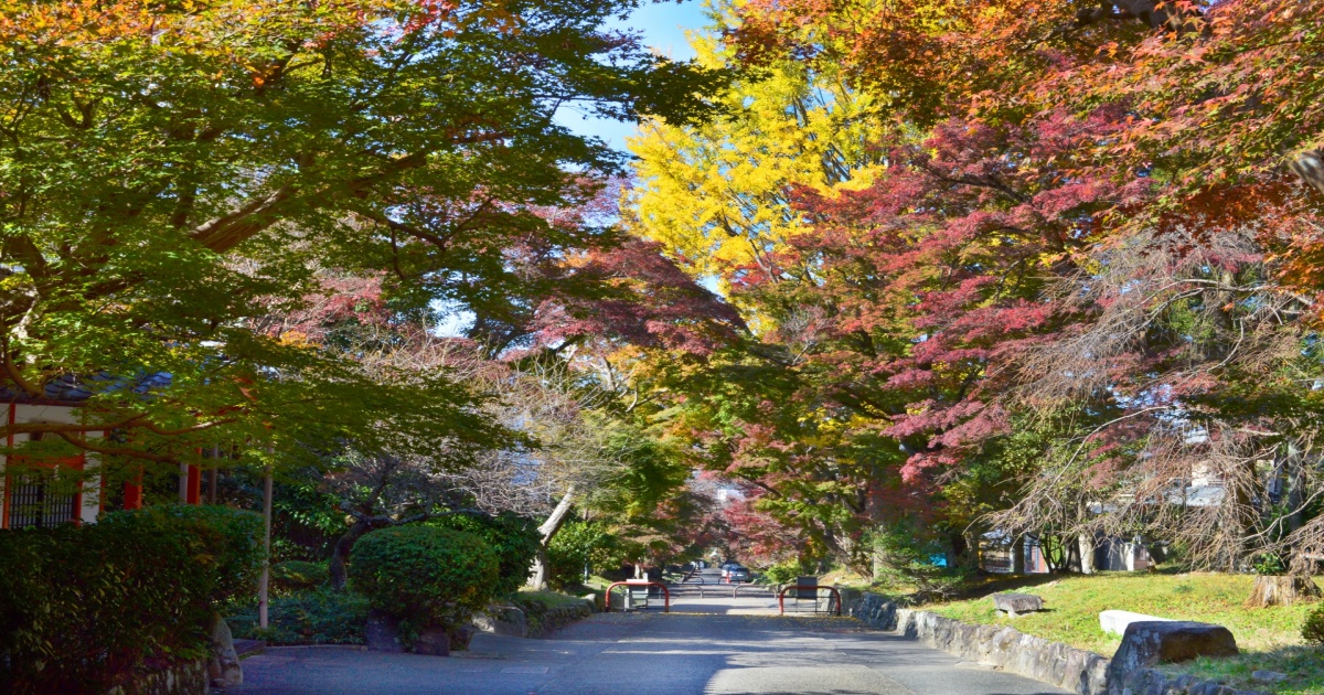 京都・修学院の鷺森神社。紅葉に包まれた参道と厄除け・縁結びで知られる静かな社殿の風景。