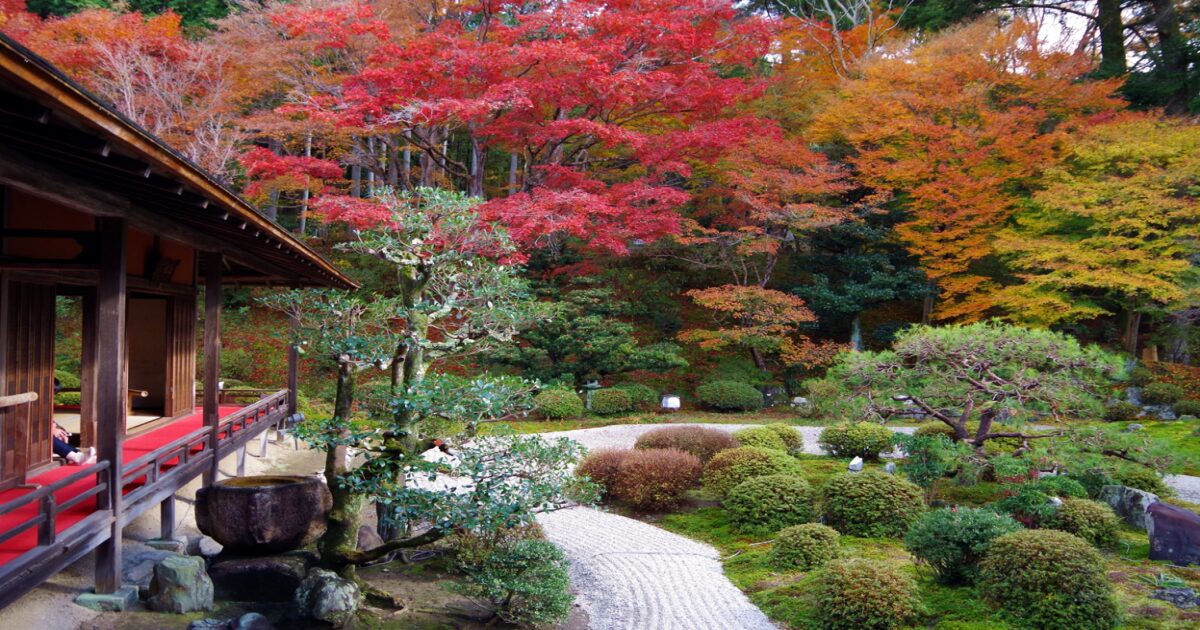 京都・洛北にある曼殊院門跡の枯山水庭園と大書院。白砂と苔、比叡山を借景にした静寂な風景が広がる。