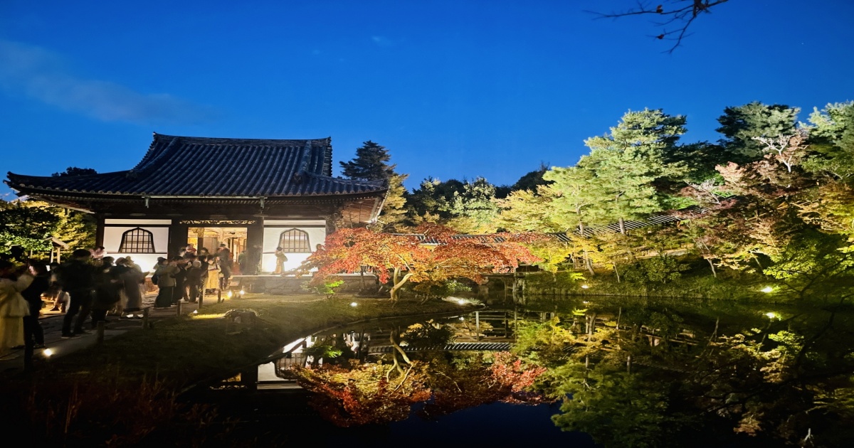 京都・高台寺の方丈庭園と臥龍池に映る紅葉のライトアップ風景