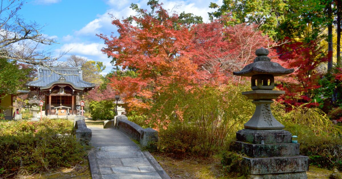 曼殊院天満宮の紅葉咲く美しい風景
