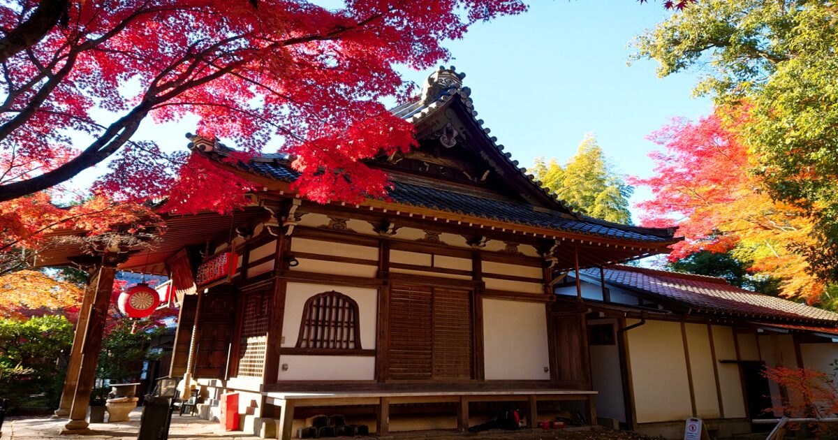 京都・修学院にある赤山禅院の紅葉。鮮やかなモミジが並ぶ秋の風景。