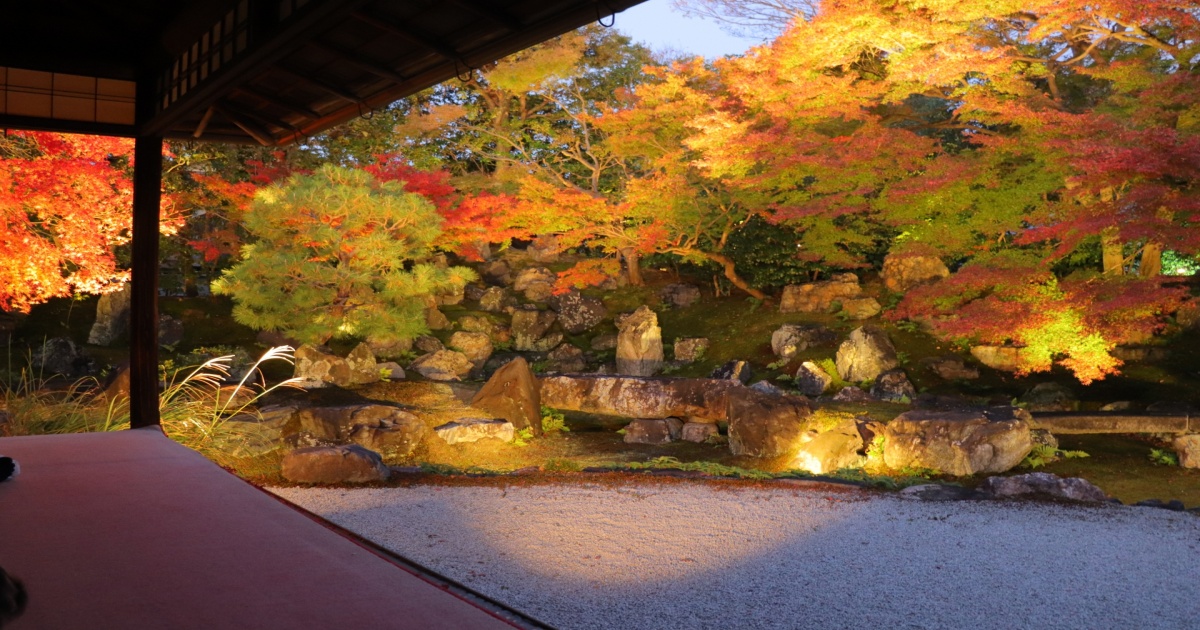 京都・東山にある圓徳院の庭園。秋には紅葉が庭を彩る美しい枯山水庭園