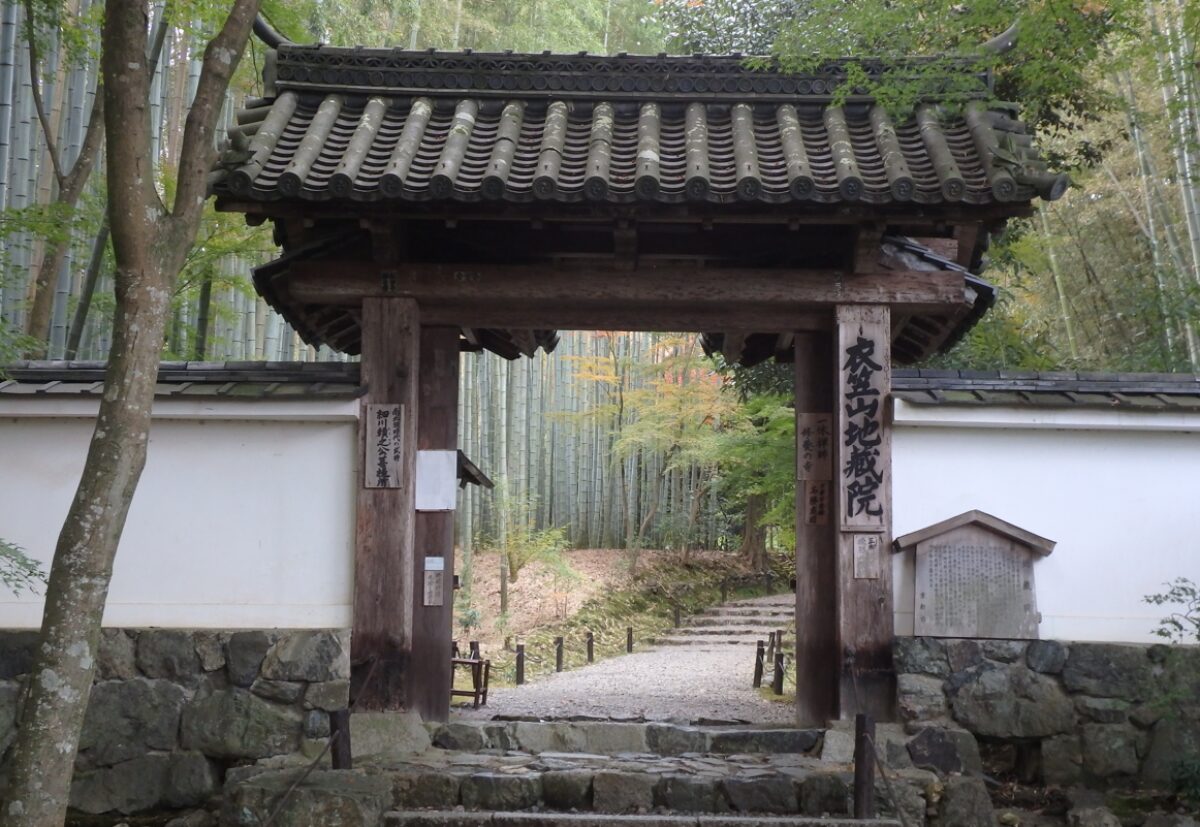 京都・地蔵院（竹の寺）の竹林を背にした山門と静かな境内の風景